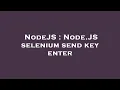 NodeJS Node JS selenium send key enter