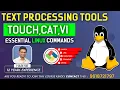 Master Linux Text Processing Tools touch cat User Administration Explained