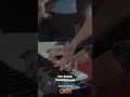Download Lagu Perbedaan - TIC Band (Live at 58 Concert Room)