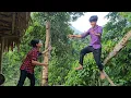 Download Lagu The boy wanders around digging taro to sell at the market, the girl comes home from school and cooks