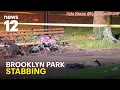 Brooklyn park stabbing leaves woman dead