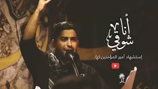 أنا شوقي   الرادود علي غريب   استشهاد أمير المؤمنين  ع  دندنها
