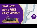 NYU s SECRET free ferry service