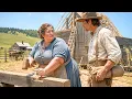 He Asked for a Job on Her Farm She Shocked Him by Saying I m Hiring a Husband Instead