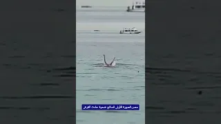 مصر الصورة الأولى للسائح ضحية حادث القرش 