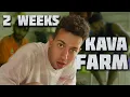 Download Lagu How is the Kava Root Grown?