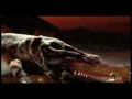 Silva de Alegría - La Extinción