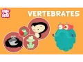 Vertebrates The Dr Binocs Show Educational s For Kids