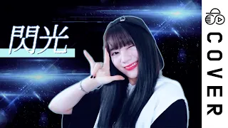 Alexandros 閃光 Senkou Cover By Raon Lee 