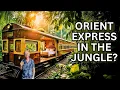 Download Lagu Wij verbleven in het meest ONGELOOFLIJKE Jungle Train Hotel – Net als de Oriënt Express!