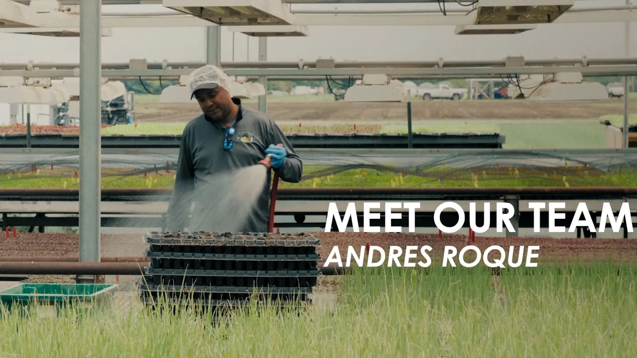 Meet Our Team   Andres Roque