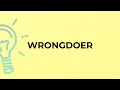 What is the meaning of the word WRONGDOER