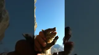 فركسة وبر رائع 3 