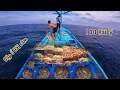 Discovered This Diving Spot Has Lots Of Sea Cucumbers, Earned Millions, Increased 2nd | 100 Nauti...