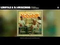 Download Lagu Leroyale \u0026 Dj Awakening (feat. Starr Healer) -  Nobabili (Official Audio)