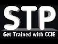 How STP works root bridge election RP election WhatsApp 91-935-139-3754
