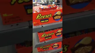 Boi What The Hell Boi 