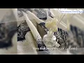 Navy Blue And White Leaves Linen Cotton Blackout Curtains Anady Top