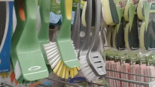 Family dollar detailing brushes line up