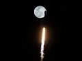 Download Lagu BACK TO THE MOON!!! JUNGLE DUTCH TERBARU 2022!!! REQ ANGGIDIAAA