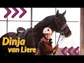 Download Lagu TRAUMPFERDE-ALARM 😍 Zu Besuch bei Dinja van Liere \u0026 ihren Hengsten 🐴 Emotionale Momente in Aachen ❤️