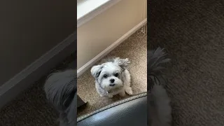 We created a monster.