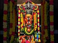 Lagu Tirupati Balaji maharaj 🪷💗#venkateswara suprabhatam stotram 🪷 ✨️ #Jai Shree hari Narayan 🪷✨️