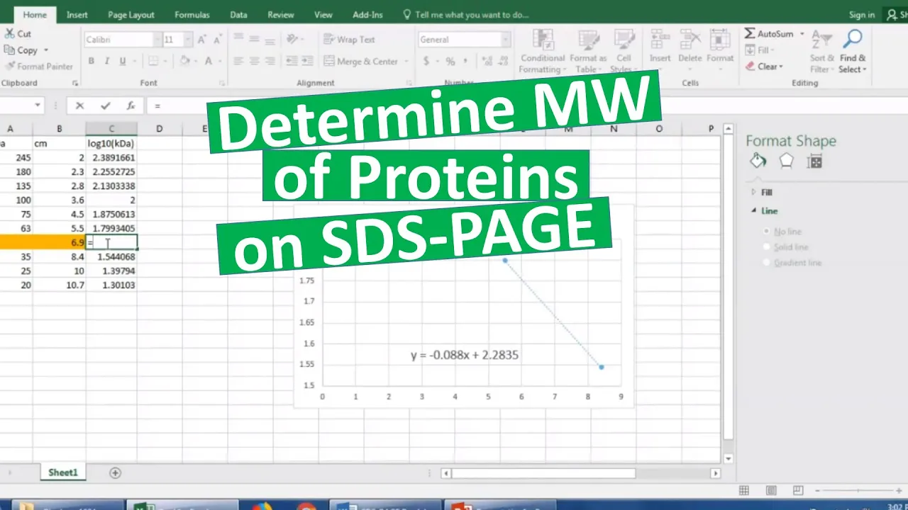 Determining MW of proteins on SDS-PAGE
