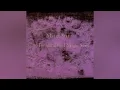 MAZZY STAR - So Tonight That I Might See LP Part 1