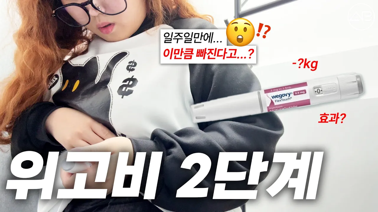 위고비 2단계 브이로그