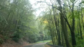 اغنية كرديه جميلة مع طبيعة المانيا عدنان دلبرين دارم دارم Adnan Delbrin Darm Darm 