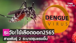  ทำไมการติดเชื้อไวรัสเดงกีสายพันธุ์ที่ 2 ถึงอันตรายกว่าสายพันธุ์อื่น 