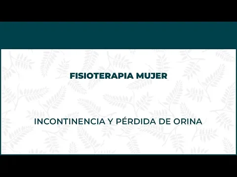 Incontinencia o Pérdida De Orina. Fisioterapia De La Mujer - FisioClinics Vitoria, Gasteiz