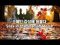 첫 소절부터 마음을 파고드는 스페인팝 | 사랑과 그리움의 Spanish Romantic Pop