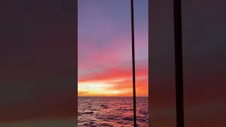 Sunset sailing ⛵️