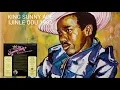 King Sunny Adé IJINLE ODU 1982