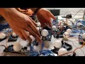 The Use of Arduinos to Model Firefly Synchronization Overview