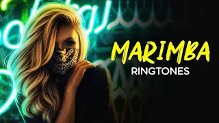 Download Top 5 Best Marimba Ringtones 2020 | Ft.Dance Monkey, Memories, Dragon Ball Z, Mario | Download Now MP3