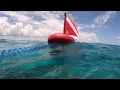 Download Lagu Lobstering in the Florida Keys with Air Buddy Diving System