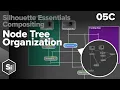 Silhouette Essentials Comp - 05C Organizing the Node Tree Boris FX compositing