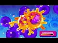 Kurzgesagt In a Nutshell Tiny Bombs in your Blood - The Complement System