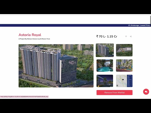 Project Video