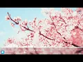 Saib - Shanghai Nights
