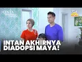 Lagu EYANGNYA KAGET! Maya \u0026 Mirza Sudah Mengadopsi Intan | CINTA SEBENING EMBUN | Eps.50-51 Part 3