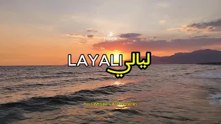 Taoufik Layali ليالي Official Single 2025 