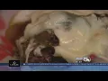 Best Burger Come hungry for Mugshot s Steak Burger