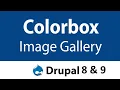 Colorbox image gallery not working on Mobile in Drupal 8 and Drupal 9