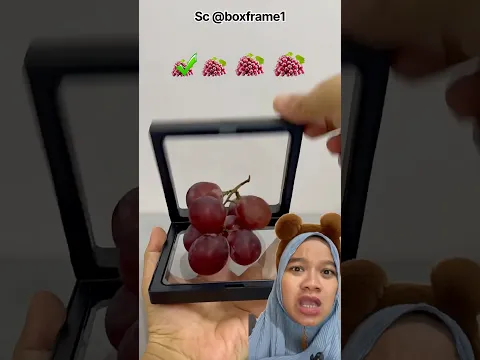 BUNGKUS ANGGUR PAKAI INI APAKAH BERHASIL⁉️😱 Sc: boxframe1