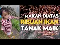 Lagu KULINER HIDDEN GEM!! MAKAN DIATAS RIBUAN IKAN || Lesehan Purnama Tanak Maik Lombok Timur