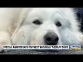 Special anniversary for West Michigan therapy dogs